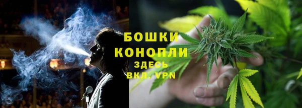 крисы Горнозаводск