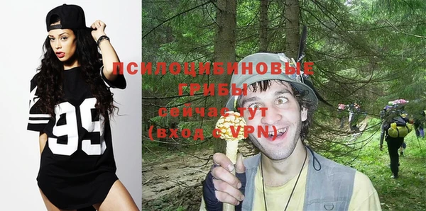 а пвп мука Горно-Алтайск