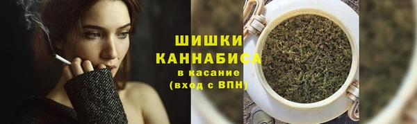 ПСИЛОЦИБИНОВЫЕ ГРИБЫ Кодинск