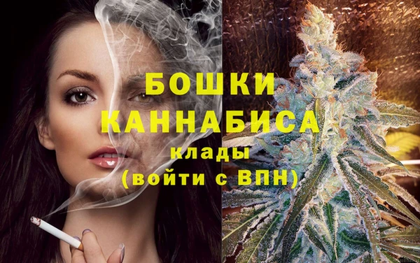молекула духа Горняк