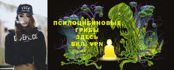 крисы Горнозаводск