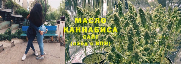 молекула духа Горняк