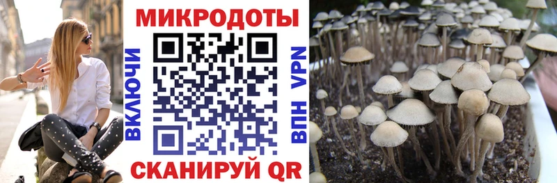 Галлюциногенные грибы GOLDEN TEACHER Москва