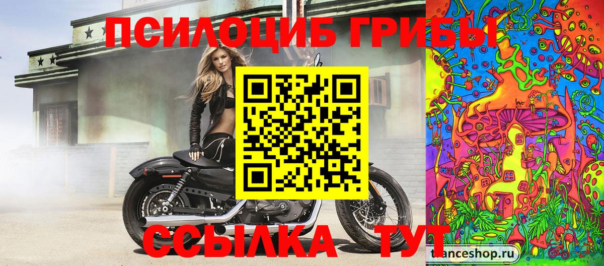Псилоцибиновые грибы MAGIC MUSHROOMS  Вход с VPN  Галлюциногенные грибы ЛСД  Москва 