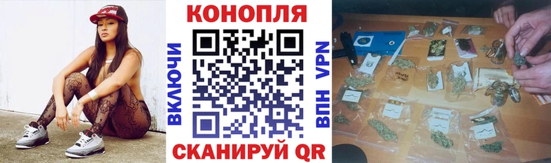 Марихуана сатива  Москва 